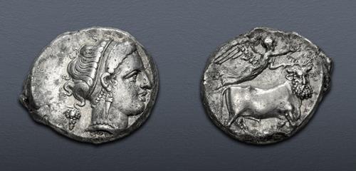Lot 11 image