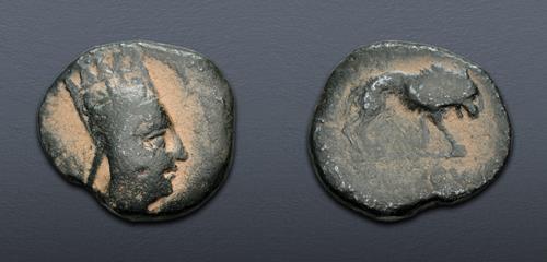 Lot 226 image