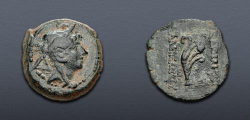 Lot 254 image