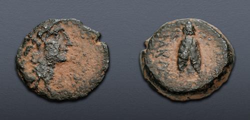 Lot 255 image
