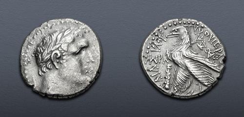 Lot 264 image