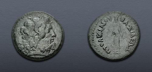 Lot 295 image