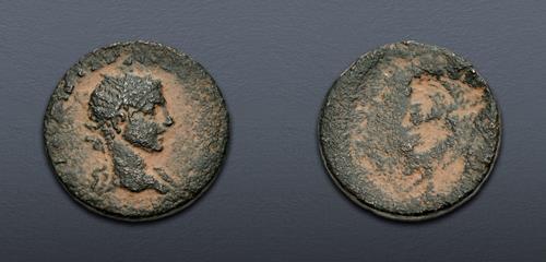 Lot 443 image