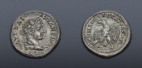 Lot 456 image