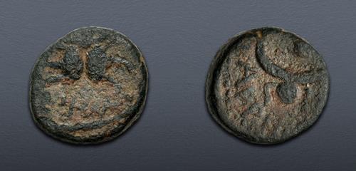Lot 469 image