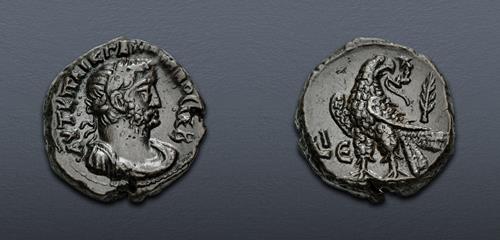 Lot 503 image