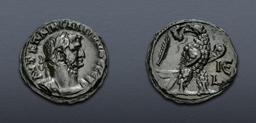 Lot 504 image