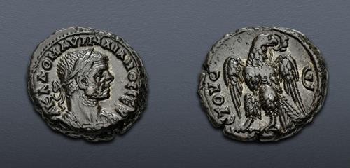 Lot 509 image