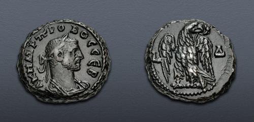 Lot 511 image