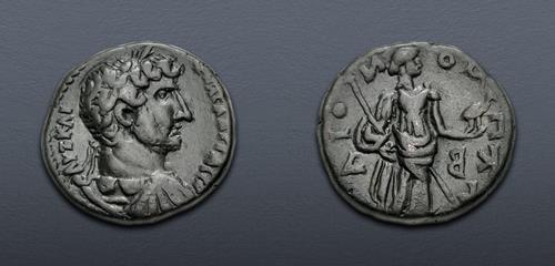 Lot 526 image