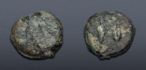 Lot 527 image