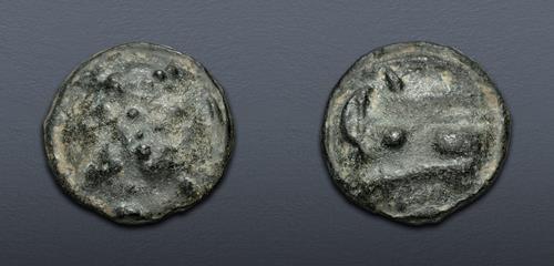 Lot 529 image