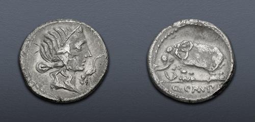 Lot 537 image