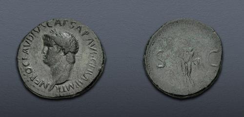 Lot 555 image