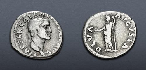 Lot 557 image