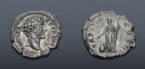Lot 586 image