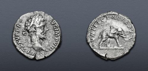 Lot 596 image