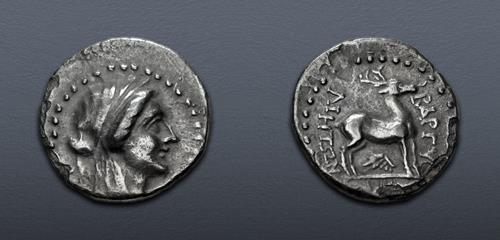 Lot 143 image