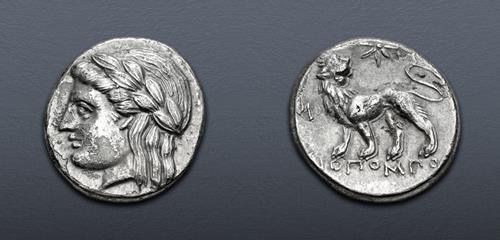 Lot 247 image