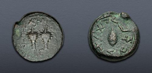 Lot 365 image