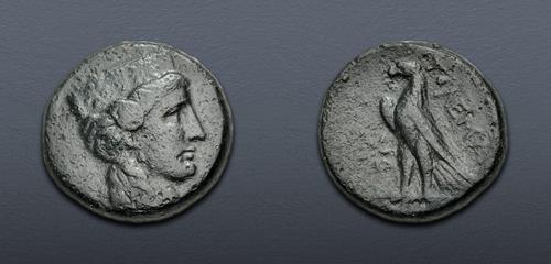 Lot 385 image