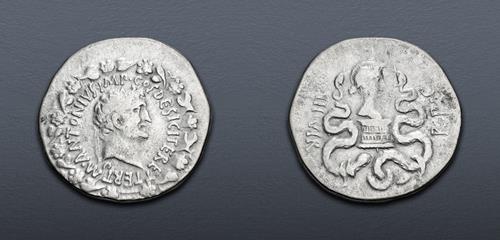 Lot 492 image