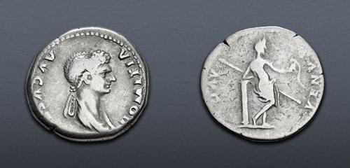 Lot 501 image