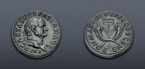 Lot 510 image