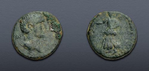 Lot 517 image