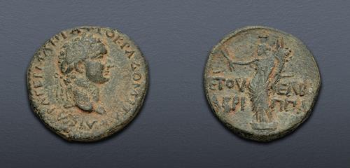 Lot 519 image
