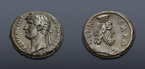 Lot 553 image
