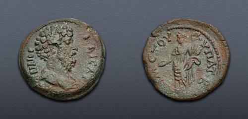 Lot 555 image