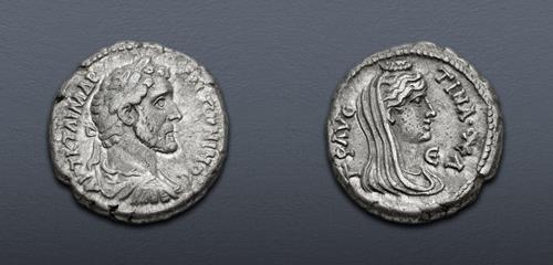 Lot 557 image
