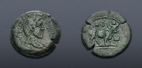 Lot 605 image