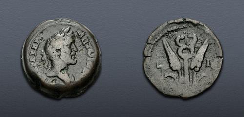 Lot 610 image