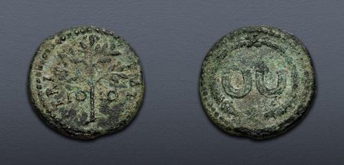 Lot 731 image