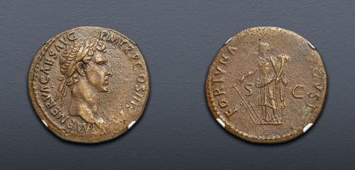 Lot 733 image