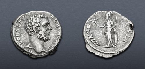 Lot 800 image