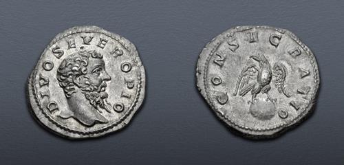 Lot 805 image