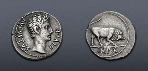 Lot 495 image