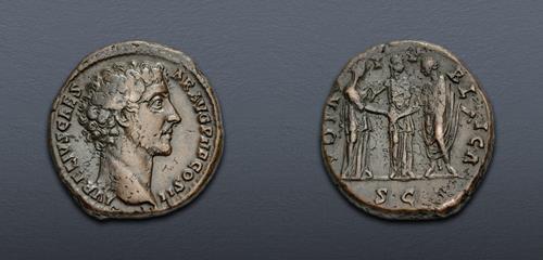 Lot 565 image