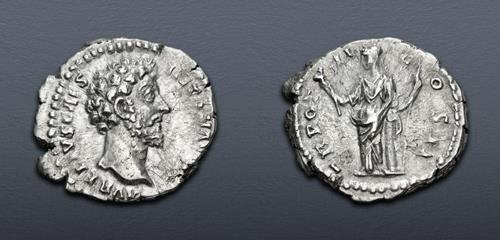 Lot 566 image