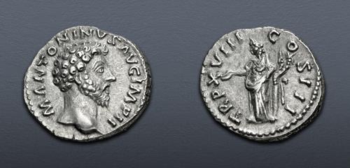 Lot 572 image