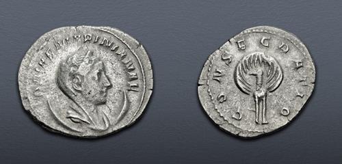 Lot 644 image