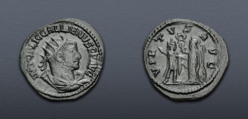 Lot 646 image