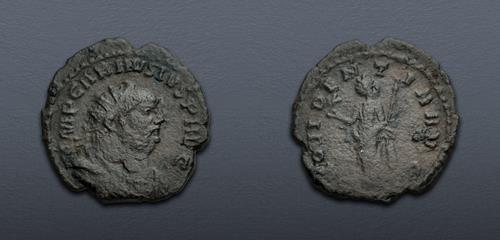 Lot 667 image