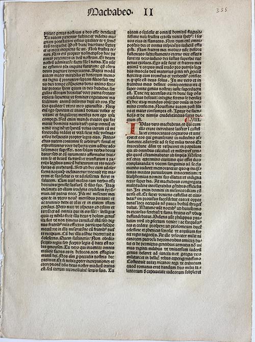 Lot 1001 image