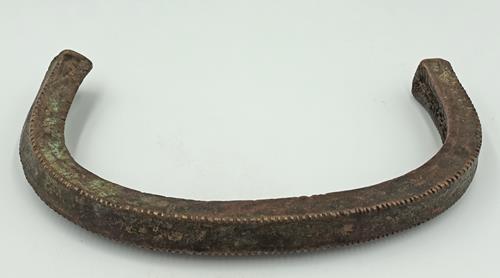 Lot 1007 image