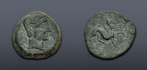 Lot 11 image