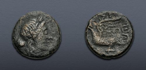 Lot 141 image